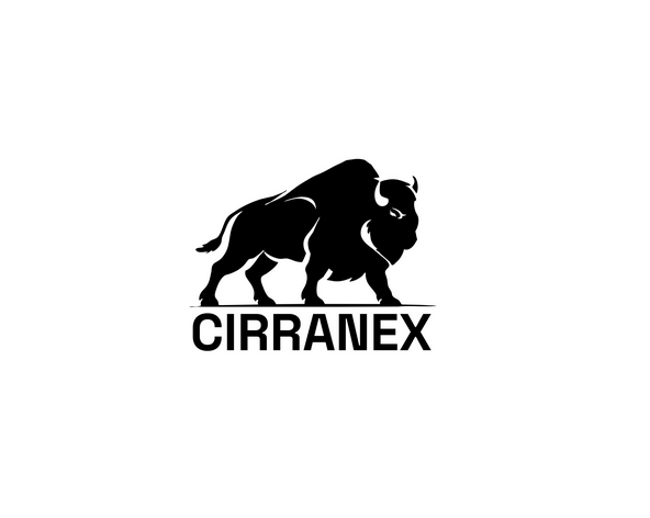 Cirranex Tech Pvt. Ltd logo